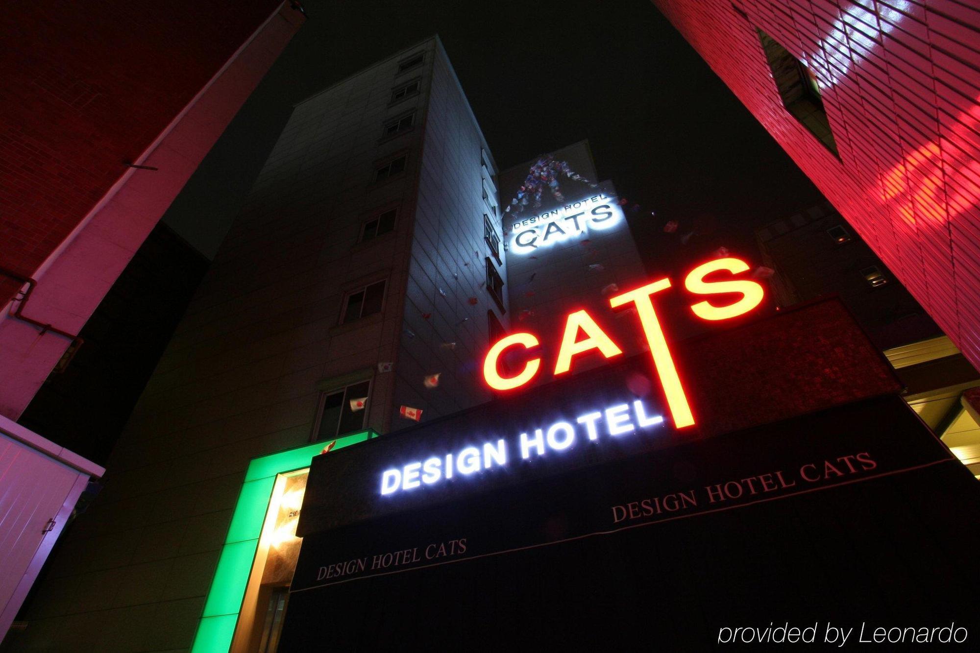 Cats Motel Seoul