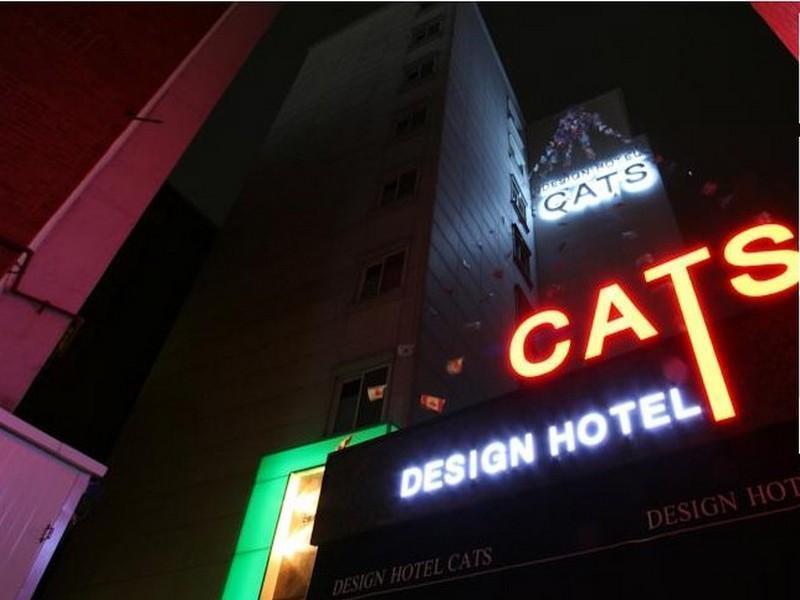 Cats Motel Seoul